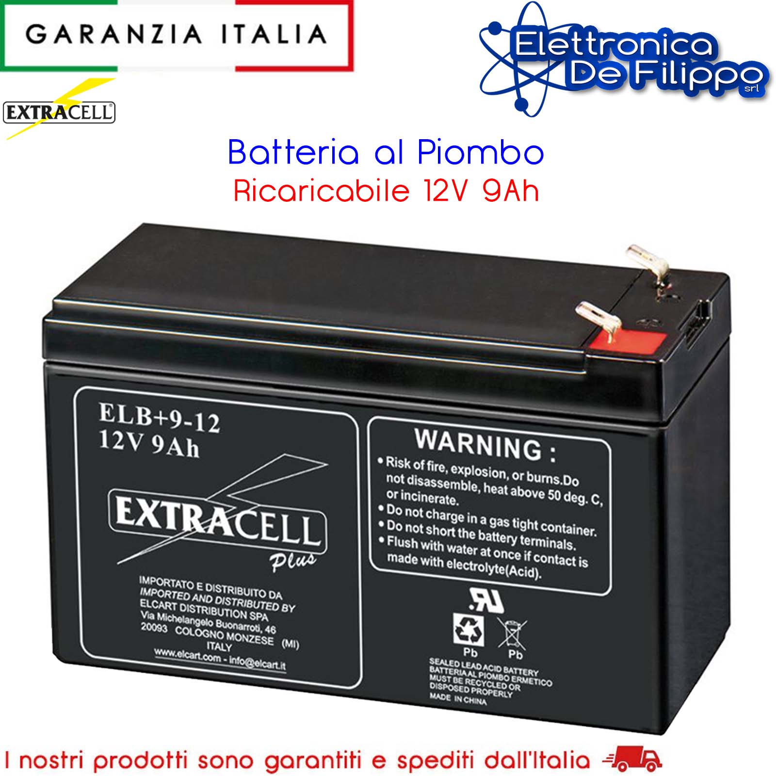 300566000 - Batterie al Piombo - elettronicadefilippo srl - Batteria al  Piombo - Ricaricabile 12V 9Ah - Batteria per UPS