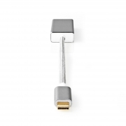 Adattatore Da Spina USB-C a Presa DisplayPort