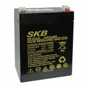 Batteria Al Piombo Ricaricabile 12V 2,9Ah