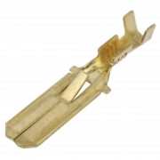 100 Spine Faston Con Ritenuta Passo 6,3mm