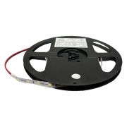 Striscia LED 24V 4,8W/MT - Bianco Freddo - IP20 - 5 Metri