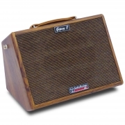 Amplificatore Portatile Per Chitarre e Microfoni